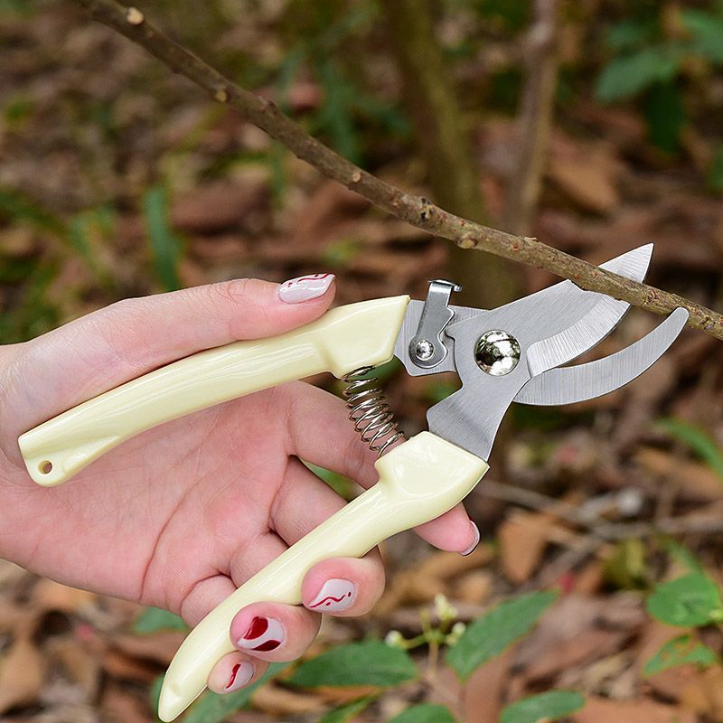Gardening Tools Usa - Labor‑Saving Garden Pruning Shears, Professional Hand