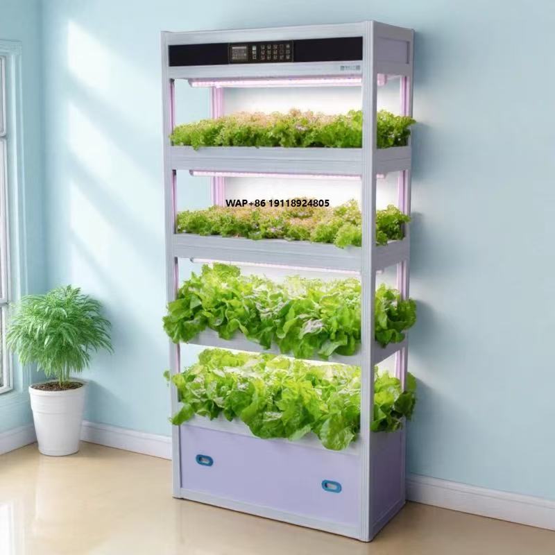 Indoor Intelligent Soilless Cu - Hydroponic System ulasan dan harga