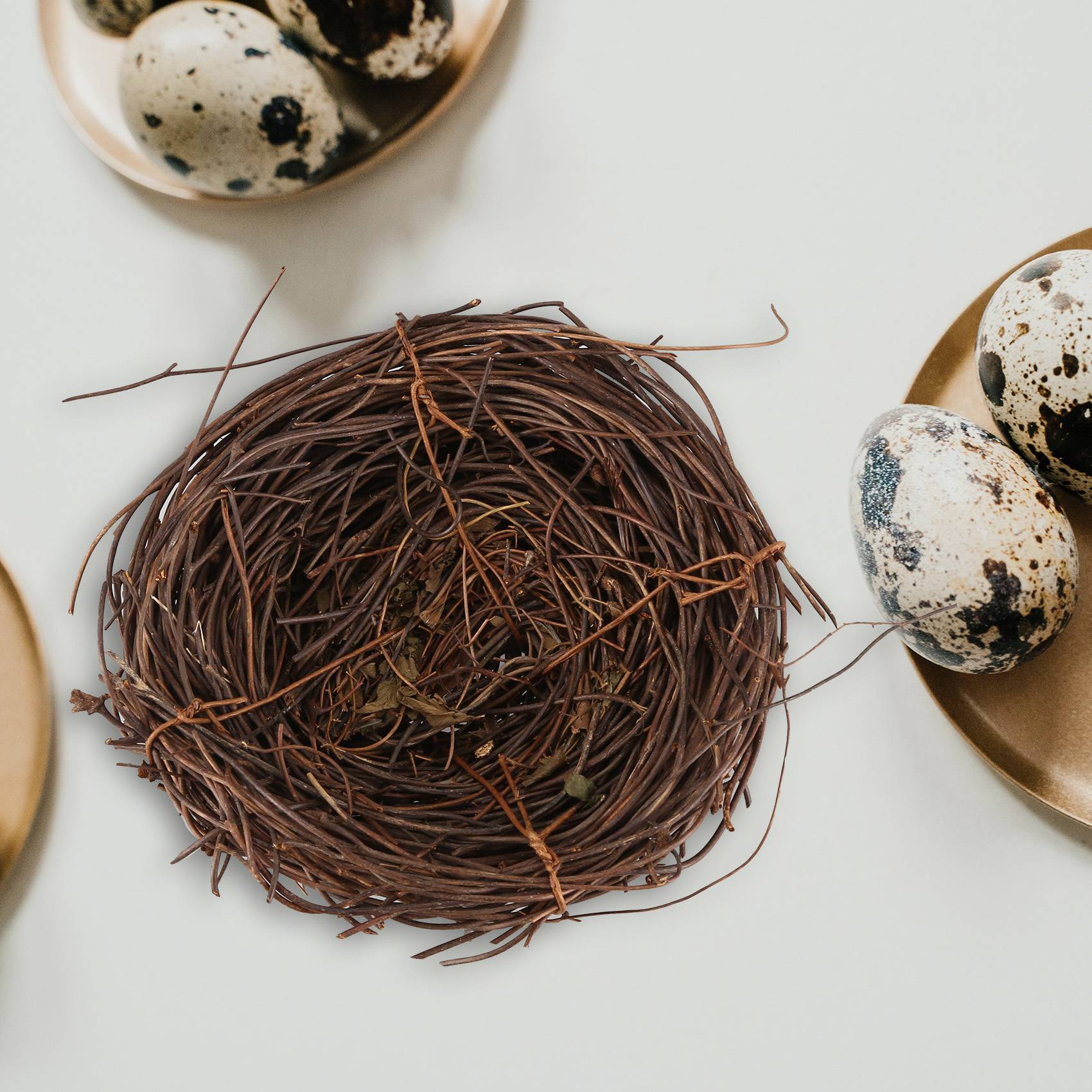 REST Handmade Vine Bird Nest H - Gardening Tools Photo ulasan dan harga