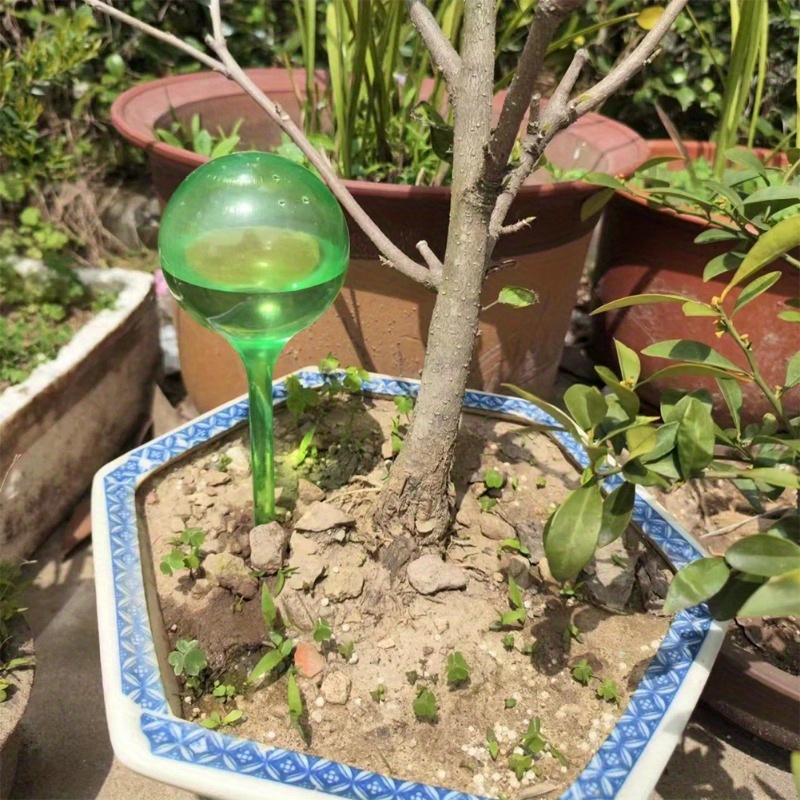 6PCS Indoor Plants Self Wateri - Root Watering Spike ulasan dan harga