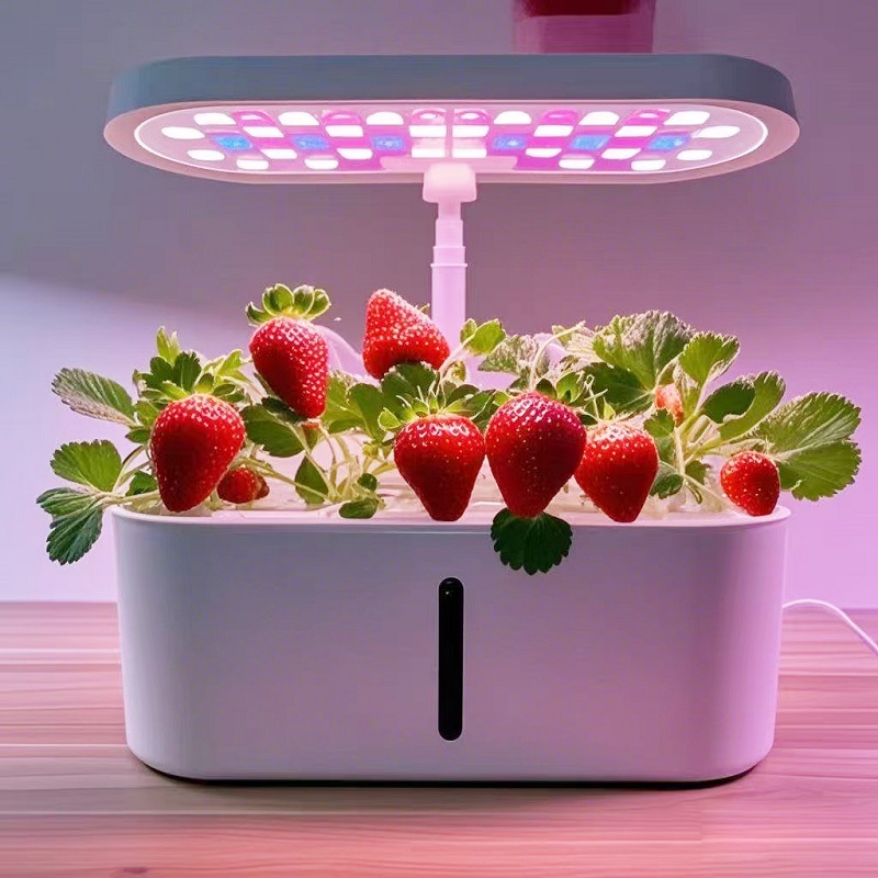 Home Smart Hydroponic Vegetabl - Hydroponic System ulasan dan harga