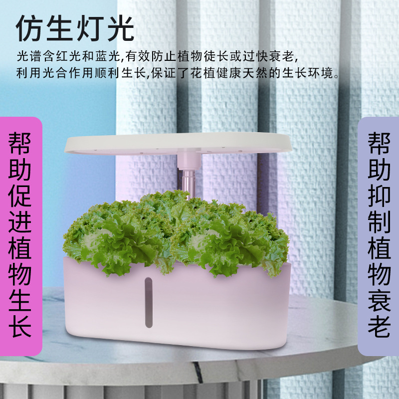 Home Smart Hydroponic Vegetabl - Hydroponic System ulasan dan harga