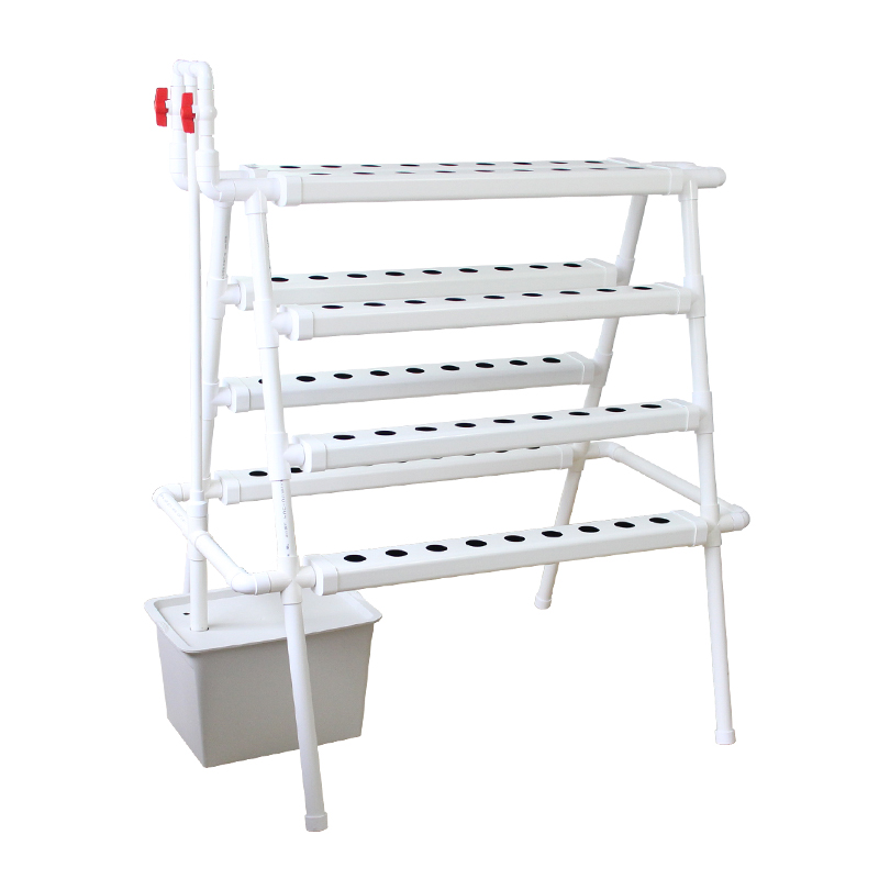 Large Indoor Vertical Farm 72  - Hydroponic System ulasan dan harga