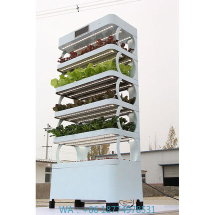 arming Home Hydroponic Growing - Hydroponic System ulasan dan harga