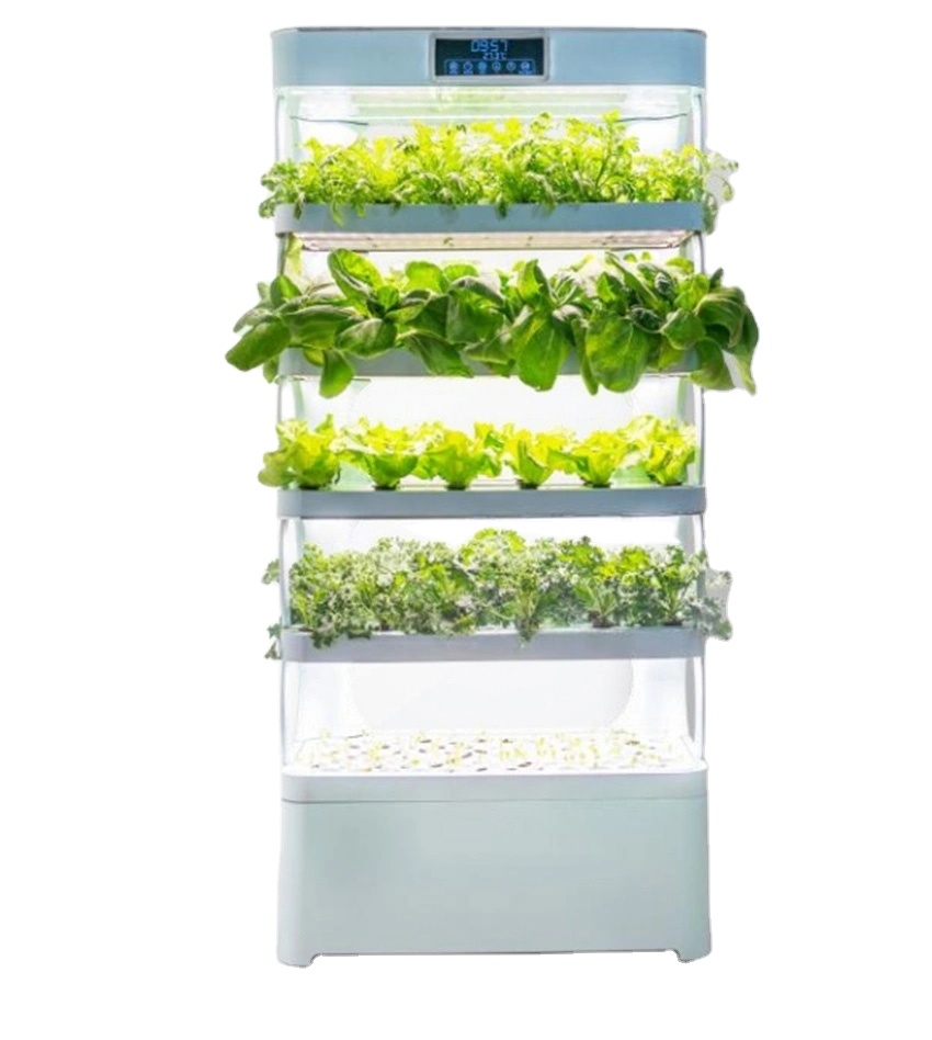 arming Home Hydroponic Growing - Hydroponic System ulasan dan harga