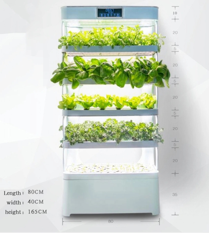 arming Home Hydroponic Growing - Hydroponic System ulasan dan harga