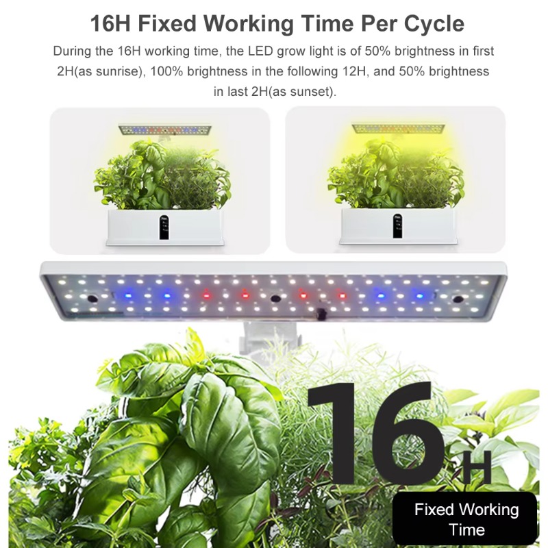 9 Pods Smart Hydroponics Growi - Hydroponic System ulasan dan harga