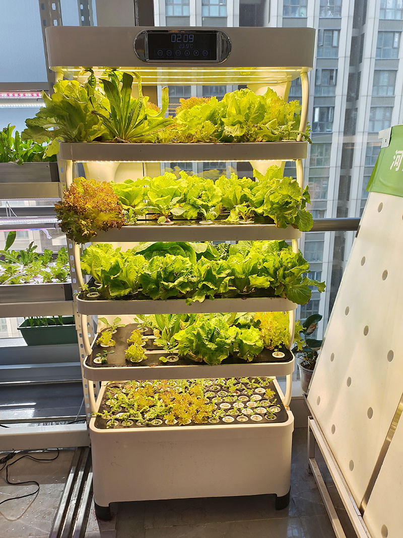c Agriculture Machine to Growi - Hydroponic System ulasan dan harga