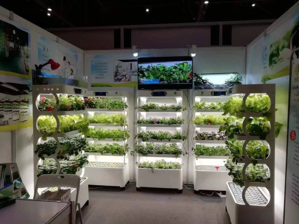 c Agriculture Machine to Growi - Hydroponic System ulasan dan harga