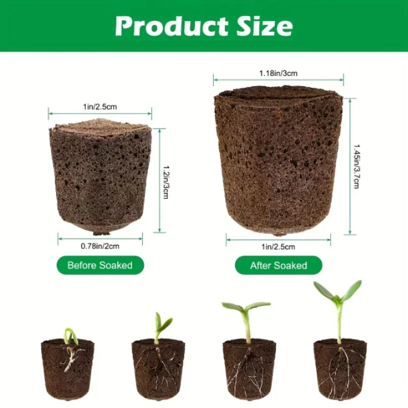 Seedling Starter Sponge Kit fo - Hydroponic System ulasan dan harga