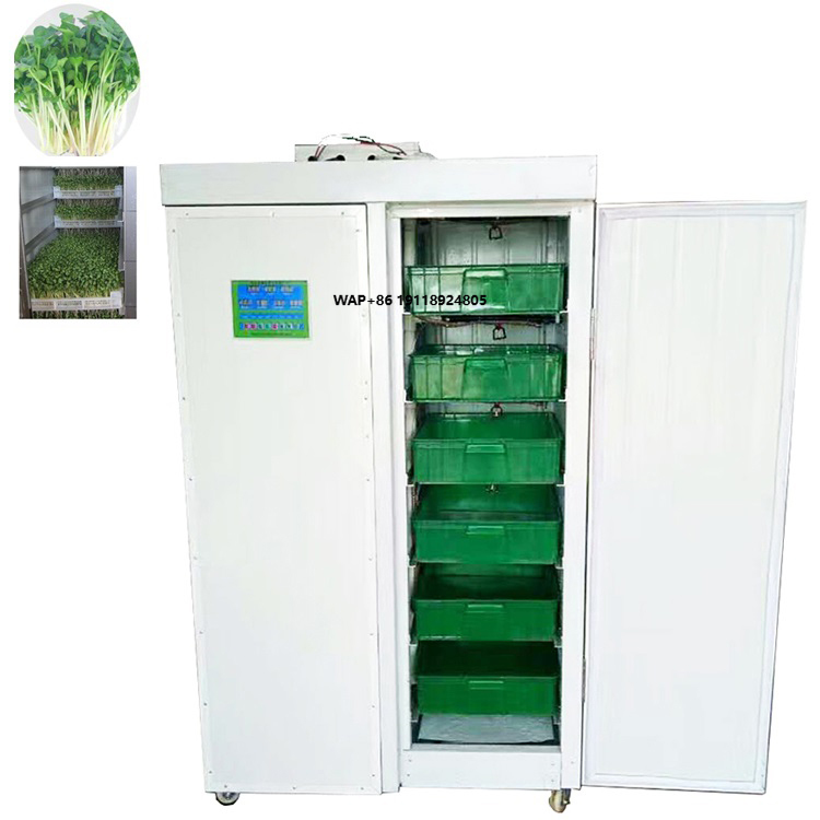 Indoor Hydroponic Bean Garlic  - Hydroponic System ulasan dan harga
