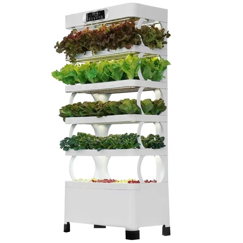 Hydroponic Automated Grow Syst - Hydroponic System ulasan dan harga
