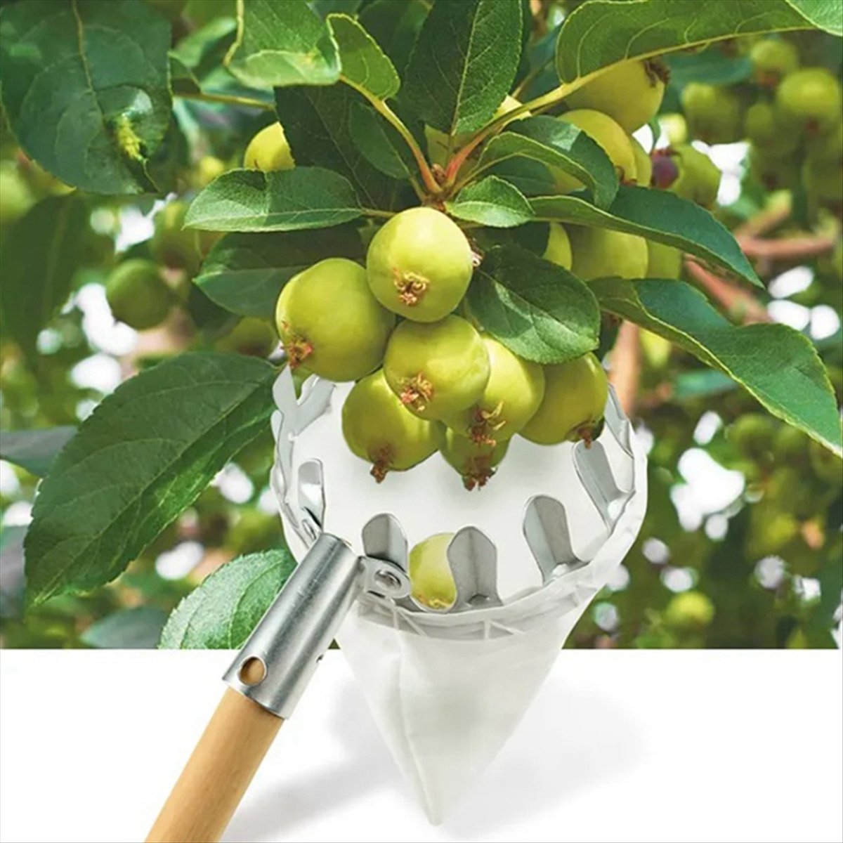 【Clearance Sale】Metal Fruit Pi - Gardening Tools For Sale ulasan dan harga